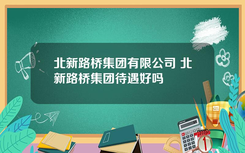 北新路桥集团有限公司 北新路桥集团待遇好吗